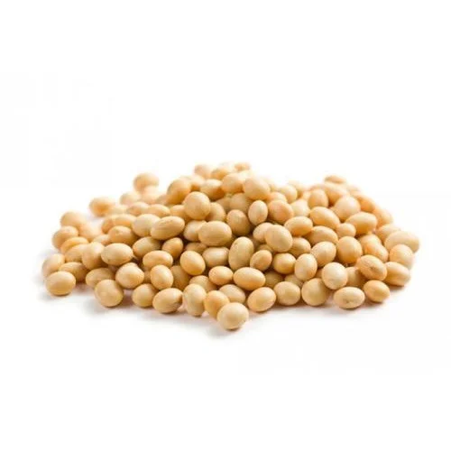 Non GMO Soybeans