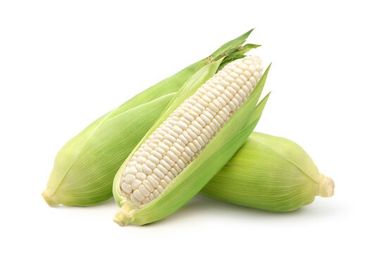 White Maize