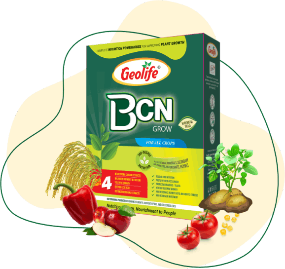 BCNP Growth