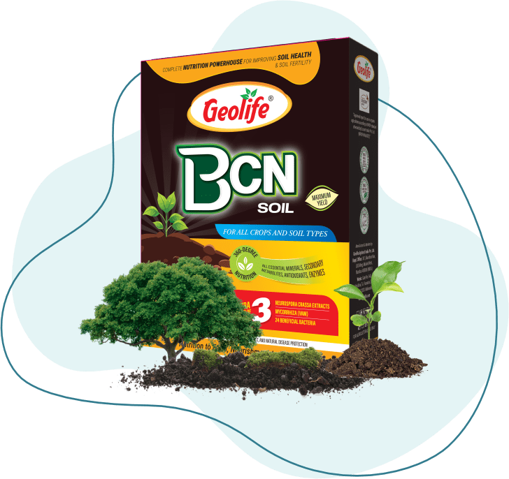 BCNP Soil