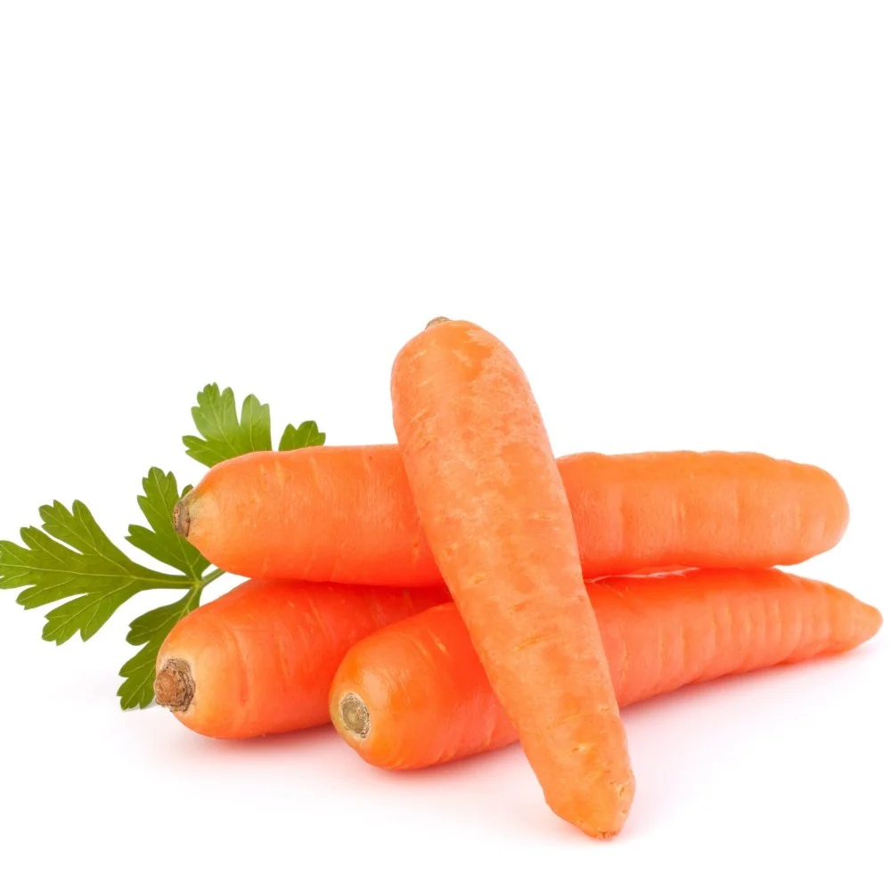 Carrot