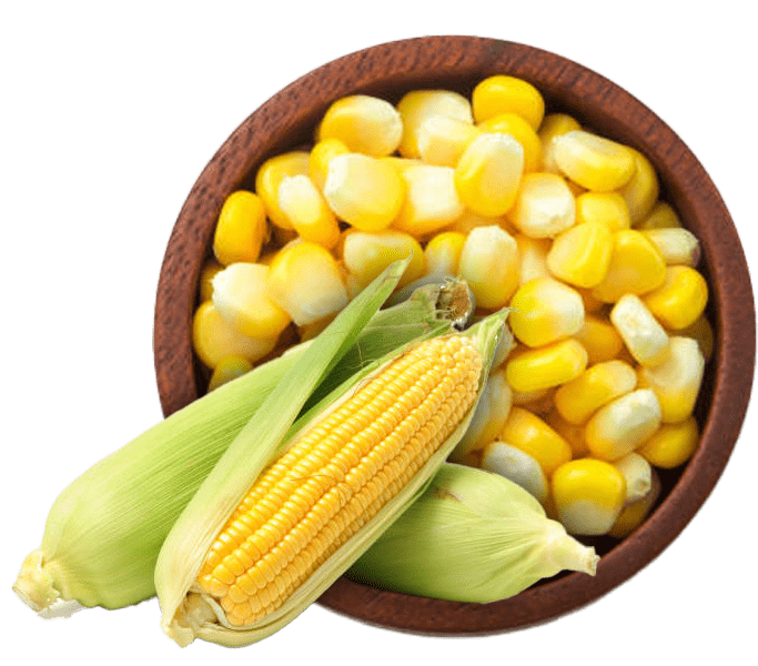 Yellow Maize