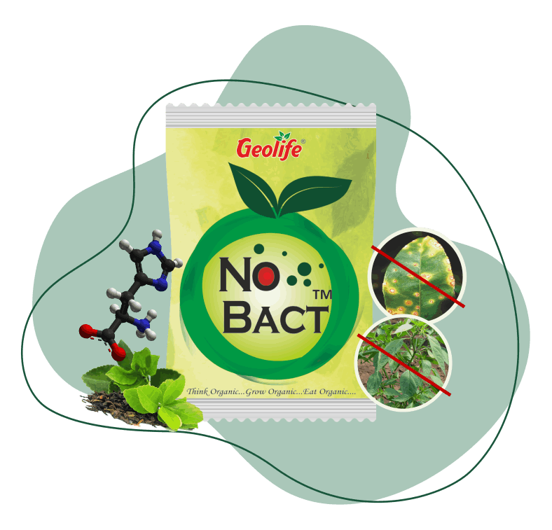 No Bact